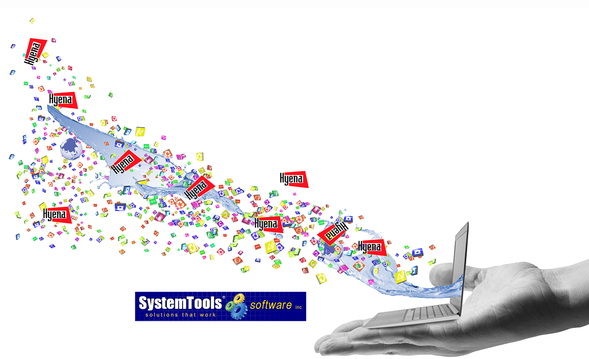 Hyena Systemtools 
